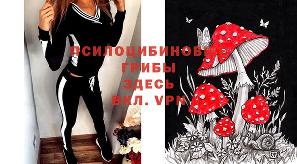 прущий лед Майский