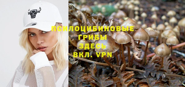 прущий лед Майский