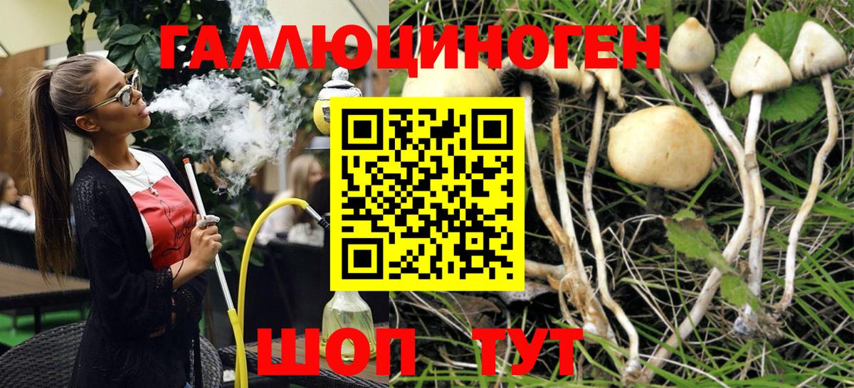 Псилоцибиновые грибы MAGIC MUSHROOMS  Псилоцибиновые грибы мухоморы  Топки 