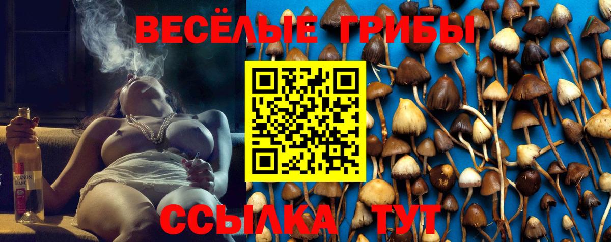 Псилоцибиновые грибы ЛСД  Вход с VPN  Топки 